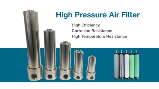 40 Bar Stainless Steel High Pressure Compressed Air Filter for Medical Applications